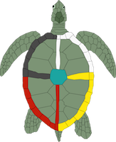 turtle medicine wheel favicon